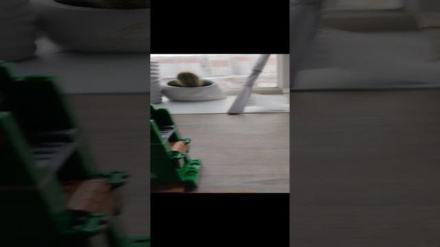 Первая часть спасения Алекса