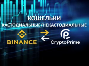 Кастодиальные и некастодиальные кошельки Binance