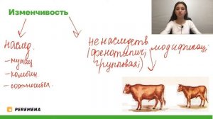 Движущие силы эволюции | ЕГЭ БИОЛОГИЯ 2021 | PEREMENA