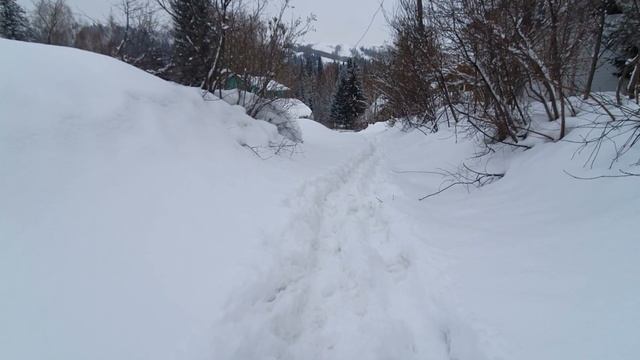 Тарханские дачи Восточный Казахстан передвигаться можно только ползком Много снега ❄️ смотреть онлайн