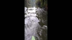 Лодка для мелководья River Boat 53 и болотоход BatKat 15 тест на Оке