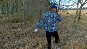 Приятный коп. За металлом на мотоблоке)