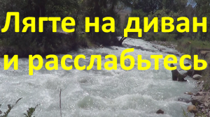 Лягте на диван и расслабьтесь. Зеленый лес, река и шум воды