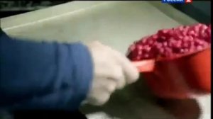 Наука 2 0  Большой скачок  Вакуум 2012 Семенов 1