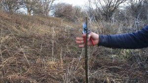 Обрезка грецкого ореха. Ошибки при формировке. Часть 2