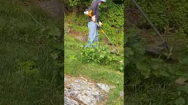 Kids play with wheat eater смотреть онлайн