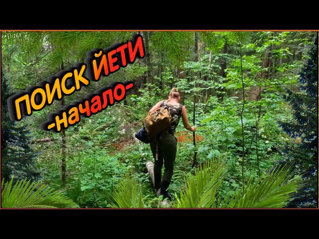 В поисках Йети  | НАЧАЛО | 4к видео