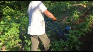 Второе окучивание картошки ЛопЛошем