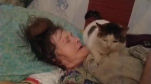 Кошка, ? делает массаж бабушке ?