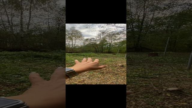 Расчистка участка