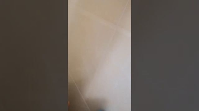 Если забыл дезодорант в путешествии... смотреть онлайн