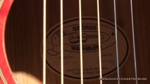 Ghost on a String - Washburn D11 TR