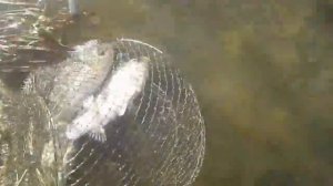 Рыбалка в Верхнем Тагиле1