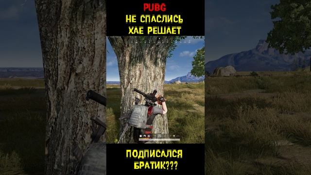 PUBG Коршуны на багги ошиблись дорогой playerunknown's battlegrounds
