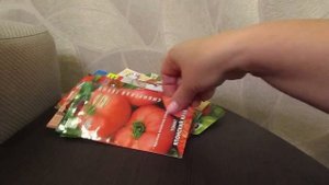 Очень вкусные сортовые среднерослые и высокорослые томаты.