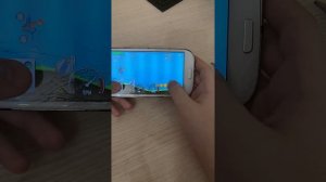 Обзор Samsung Galaxy S3 Duos