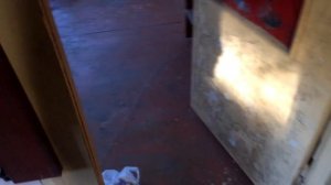 Осмотр огурцов и помидоров. Оля на даче.