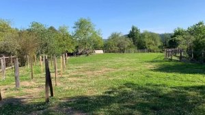 Большой участок 40 соток