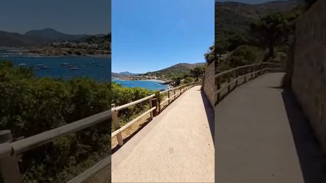 Salva смотреть онлайн