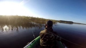 Ловля щуки на Финском заливе. Сентябрь 2017.