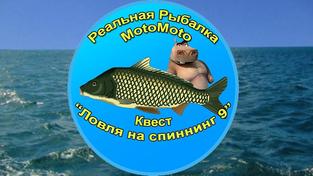 Квест 