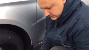 Колпак штампованного диска _МИНИ_ Лада Ларгус, .mp4