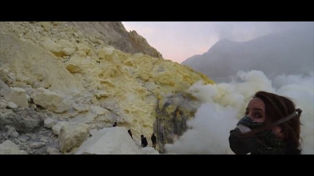 Travel Java in 1 Minute | Organic Optics