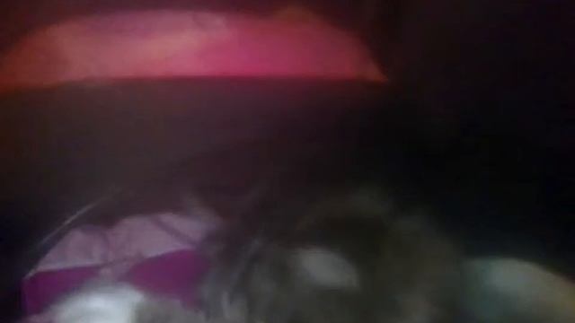 Пытаюсь уложить спать Мурку но она не спит. Ктовать всю испортила я уберала 2 часа в сутки... смотреть онлайн