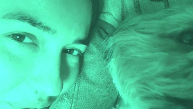 ЙОРКШИРСКИЙ ТЕРЬЕР МАКСИК - ЧТО ЕМУ ПРИСНИЛОСЬ???? смотреть онлайн