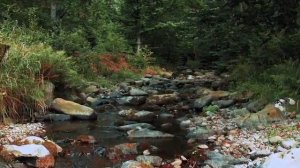 Поставьте стакан воды с солью, в доме и, вы удивитесь, что произойдёт через сутки/#обряды #очищение