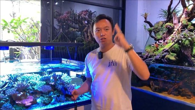 MANTIS 10K WAVEMAKER | VERY EASY TO MAINTAIN | 15MM GLASS? STILL OK ! смотреть онлайн