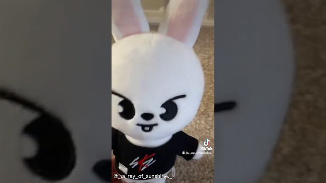 Skzoo  TikTok compilation PT.1  StrayKids