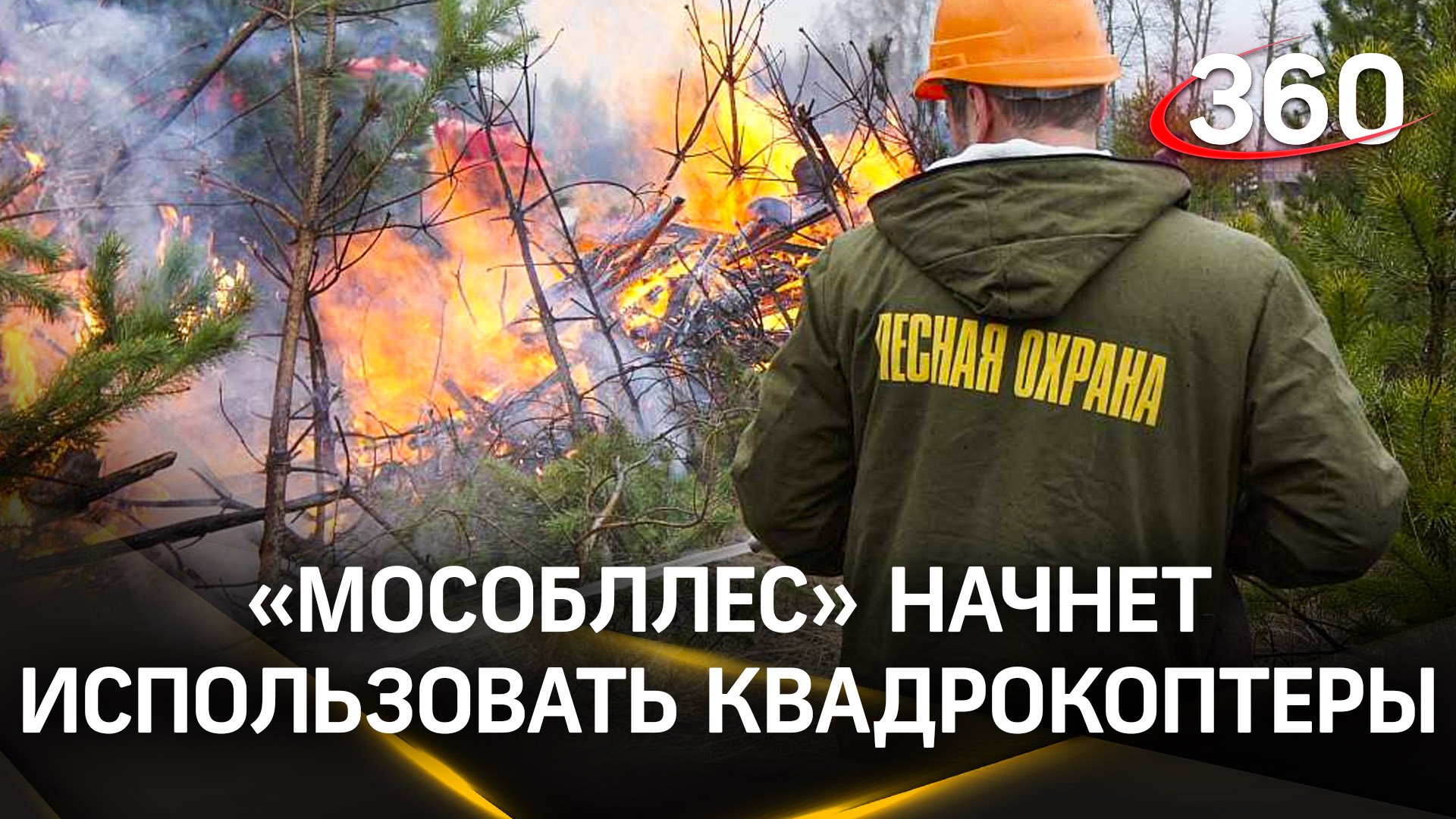 Воздушный патруль: «Мособллес» начнет использовать квадрокоптеры