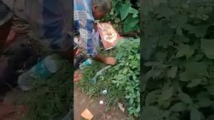 рыбалка в Индии