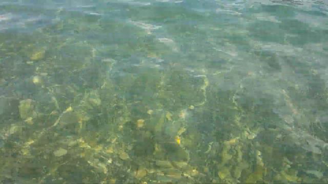 Геленджик пляж Сады Морей. Полный штиль. Прозрачное море.