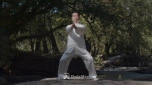 Tai Chi for Arthritis Relief | Tai Chi for Beginners Exercises