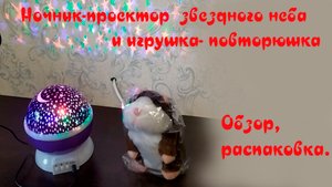 Ночник проектор звездного неба и игрушка повторюшка