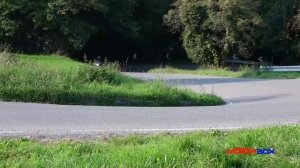 Kawasaki Z1000SX vs Suzuki GSX-S 1000F