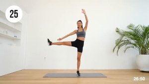 7 DAYS WEIGHT LOSS CHALLENGE-50MIN Full Body Fat Burn - Ab, Arm, Back, Leg - Standing Only