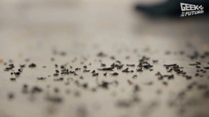 Обзор робота-пылесоса iCLEBO Omega: электровеники отдыхают - мощный робот-пылесос сменит iCLEBO Art