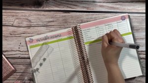 Feburary Budget With Me // 2020 // Erin Condren Deluxe Monthly Planner