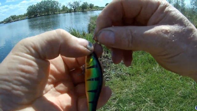 Сумбурное открытие рыбалки Спиннинг смотреть онлайн