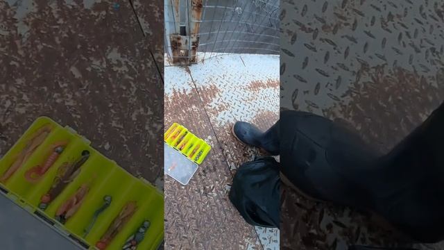 Открытие сезона рабалки, в весенние полноводие. #рыбалка #рыбалка на силикон #рыбалка в болоте! смотреть онлайн