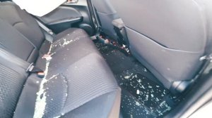 Покупка авто с аукционов в США | Купили Toyota Prius | Электро авто из Америки в Россию и Украину
