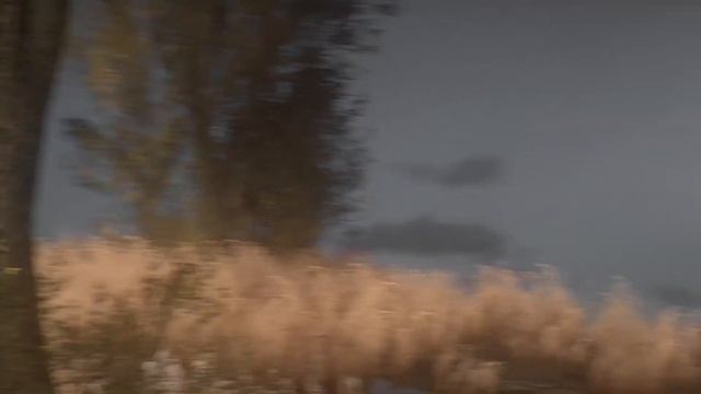☢S.T.A.L.K.E.R☣  ЗОНА . История создания зоны , Что такое зона.