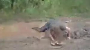 Пьяная женщина не может встать