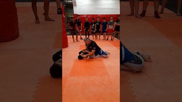 перевороты из положения высокого партера смотреть онлайн