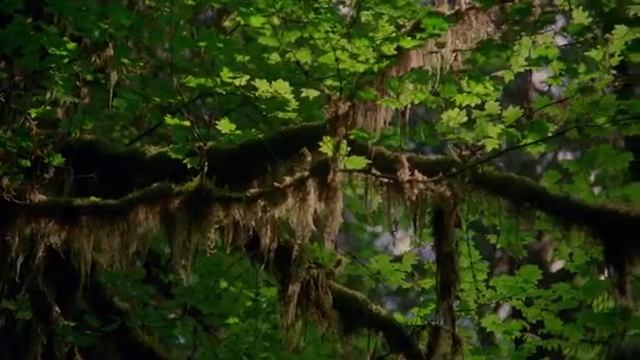 Дом на горе высокой : Стихи о доме и душе смотреть онлайн