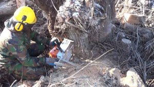 Бензопила STIHL MS 660 в работе