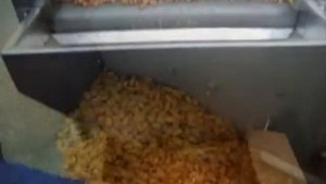 Жарка и солка семeчек и все видов орехов CS 2500 KF